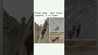 Самые смешные видео🤣🤣🤣#смех#шутка