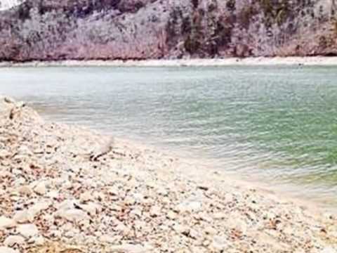 1240 Reynolds Rd, Piney Flats, TN home video tour