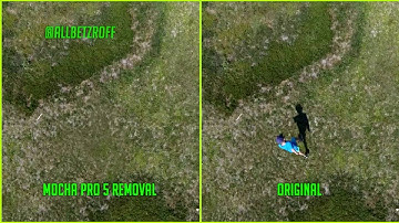 Mocha Pro 5 Avid Media Composer Plugin Removal Test