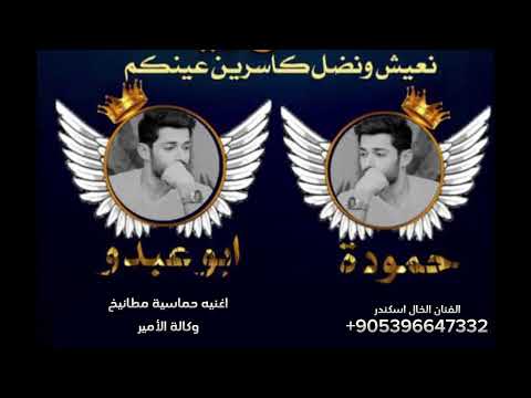 اغنيه حماسيه وكاله الأمير الوكيل حمودة ابو الجود وابو عبدو رشاشات الدولار الفنان الفنان اسكندر