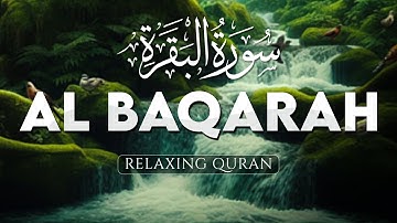 This will Deeply Touch your Heart إن شاء الله, Surah Al Baqarah (سورة البقره) - ALAA AQEL