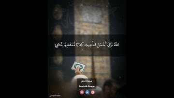 ماهر المعيقلي - سورة الزمر