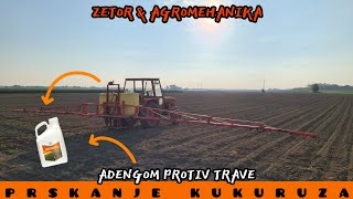 PRSKANJE KUKURUZA, ADENGO UNISTAVA SVE / AGROVLOG / #49