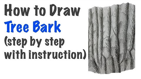 How to Draw Tree Bark | FULL TUTORIAL