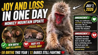 🔴Breaking: BORN Today GONE in 9 Days💔 The Emotional Truth Behind Ichikawa Monkey Mountain’s New Baby