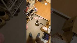安全確認してから入ったのに…｜PECO