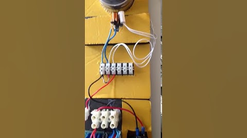 Pulse motor and reed switch