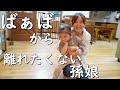 【祖母と孫】60代ばあばと久しぶりに会って離れたくない2歳の孫娘