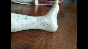 LUO-CONNECTING/COLLATERAL POINTS 2: Individual Luo Points