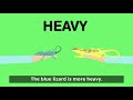 Comparing Lizards' Speed and Weight
