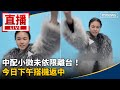 中配小微強制出境
