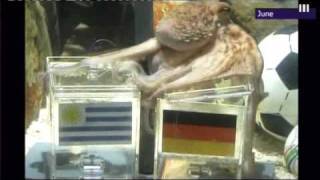 Paul the Octopus World Cup Psychic is dead