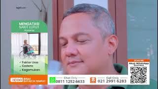 COLOCASIA UNTUK NYERI SENDI, REUMATIK ATAU ASAM URAT