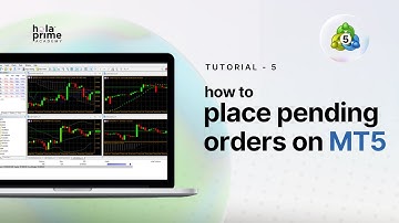 How to Place Pending Orders on MetaTrader 5 (MT5) – Step-by-Step Guide! | Hola Prime