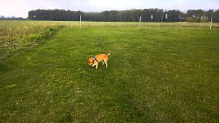 WP 20140925 10 08 13 Pro