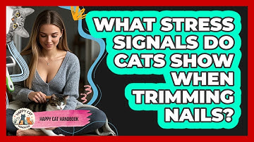 What Stress Signals Do Cats Show When Trimming Nails? - Happy Cat Handbook