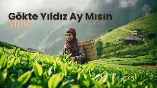 Gökte Yıldız Ay Mısın (Derule De Derule) Psychedelic Anatolian Rock Cover