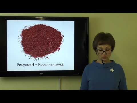 Естественная пища рыб Часть 1 Корма для рыб Часть 2