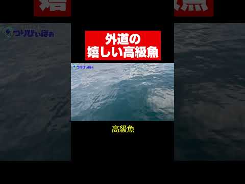 この魚釣れたらどうする？やっぱり鍋かなぁ#shorts
