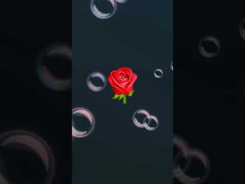 أب مناف عتابا رنكوس