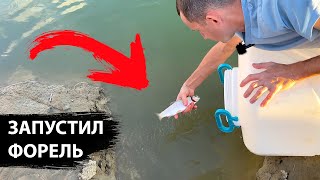 видео: Форель в пруду возле дома. Зарыбление форелью. Большой эксперимент / часть 1. картинка: Форель в пруду возле дома. Зарыбление форелью. Большой эксперимент / часть 1.