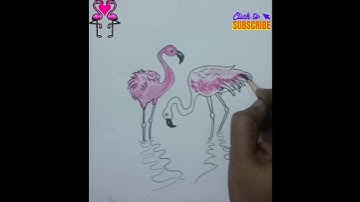 How to draw a beautiful watercolour flamingo 🦩.. super easy drawing 😍🫰..#trending #drawing #flamingo