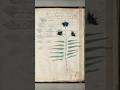A 600-year-old book NO ONE on Earth can read 📖🌀 #shorts