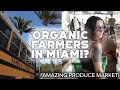 AMAZING Miami ORGANIC Farmer&#39;s Market (Coconut Grove) - Florida Winter VAN LIFE in #magpiethebus