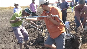 Inside InSight - Mars Engineer Keeps Spacecraft — and People — Healthy