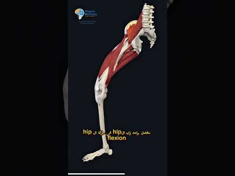 شرح الفرق بين ال       علاج طبيعي
