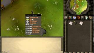 how to make money on Runescape 2007 [20k per hour] for beginners cow hides