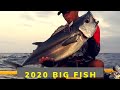 2020 Big Fish | Dogtooth Tuna caught in Jigging