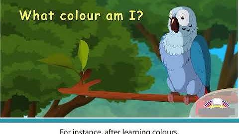 Avian Researcher Aspect 11 Module 5