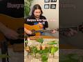Bluegrass Guitar Speed Training Day 77