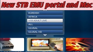 good working New STB EMU portal and Mac Address updated