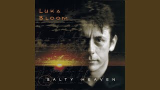 Video thumbnail of "Luka Bloom - Don't Be So Hard On Yourself"