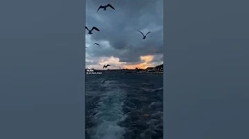 زي البحر الدنيا واحنا سفينة حالات حالات واتس Explore حالات واتساب هضامة هضامة متابعين مزح 