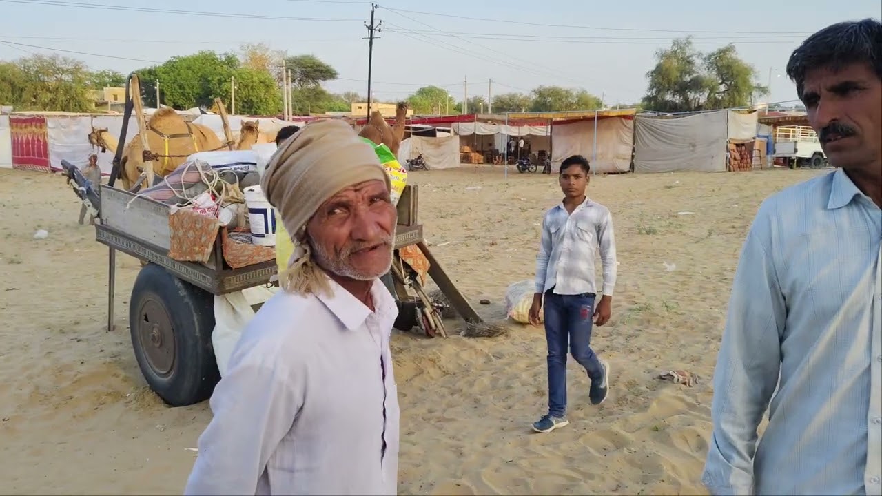 मुकाम ऊंट पशु मेला 2026। #वायरल #वीडियो #राजस्थानी #मारवाड़ी #गांव_की_बात