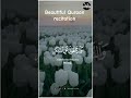 #quraanrecitation #quraanforever #shortvideo #islamicstatus #shortsfeed #subscribe