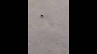 I tell this dumb spider what's up!