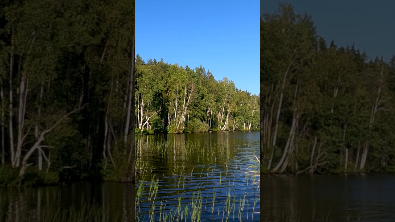 На SUP по озеру / By SUP on the lake 