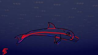 Dolphin test animation