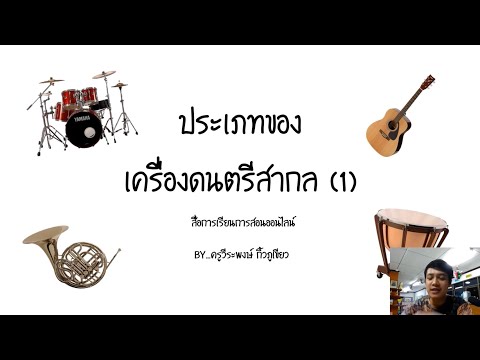 ประเภทของเครื่องดนตรีสากล(เครื่องสาย) ป.4