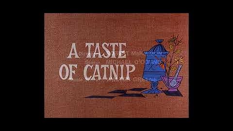 Looney Tunes A Taste Of Catnip (1966) Opening