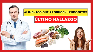 ¿Qué alimentos restauran los glóbulos blancos?