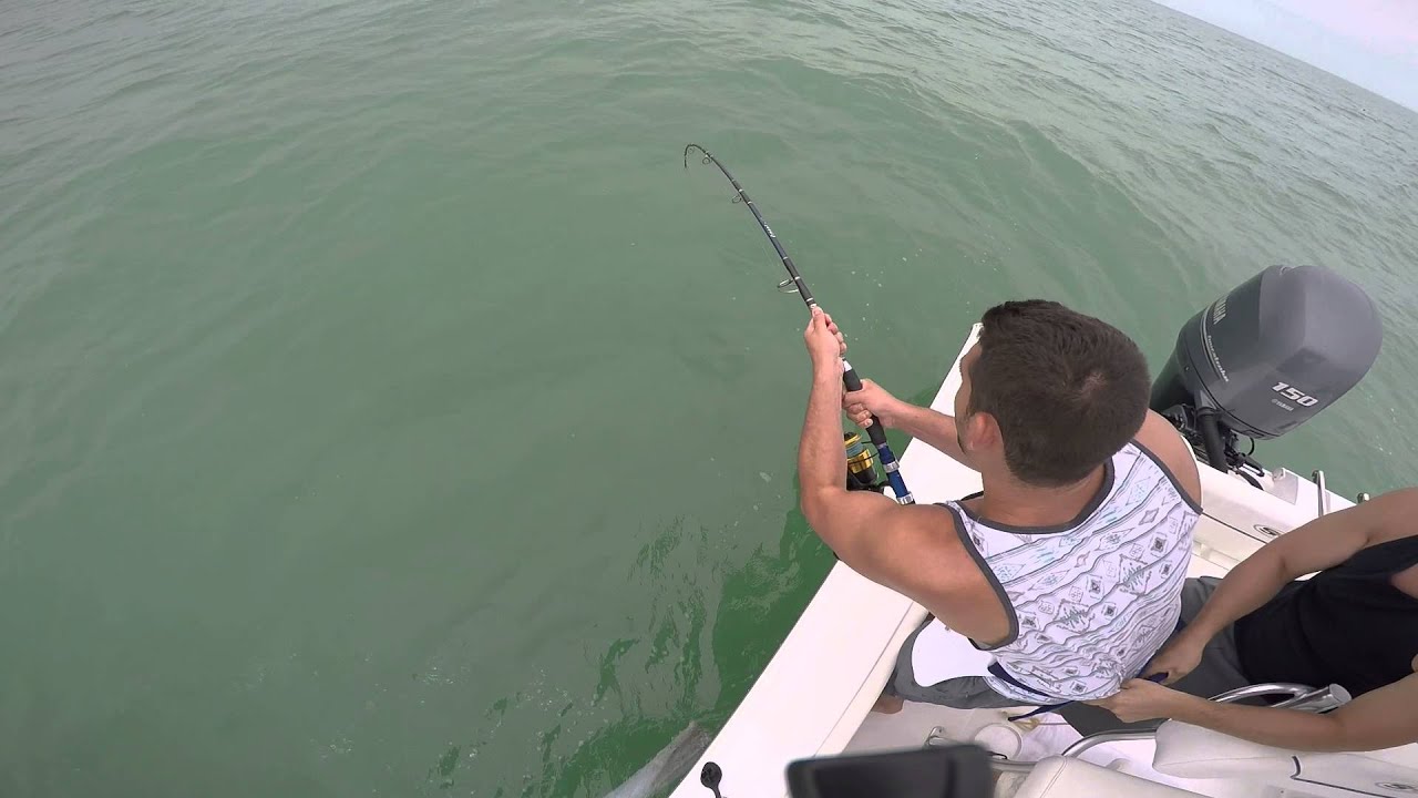 Giant Blue Shark 2 miles from jones beach YouTube