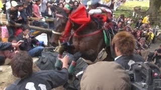 人馬壁越え、豊凶占う  三重・多度大社で上げ馬神事