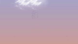Relaxation Screensaver - Birds Flying at Dawn - 12 Hours screenshot 1