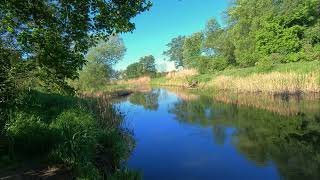 Relaxing Spring Morning Sound  Study, Chill, Sleep  River Ambience  Natural Background