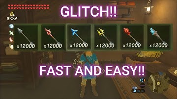 Thousand of arrows very easily glitch Zelda Breath of the Wild